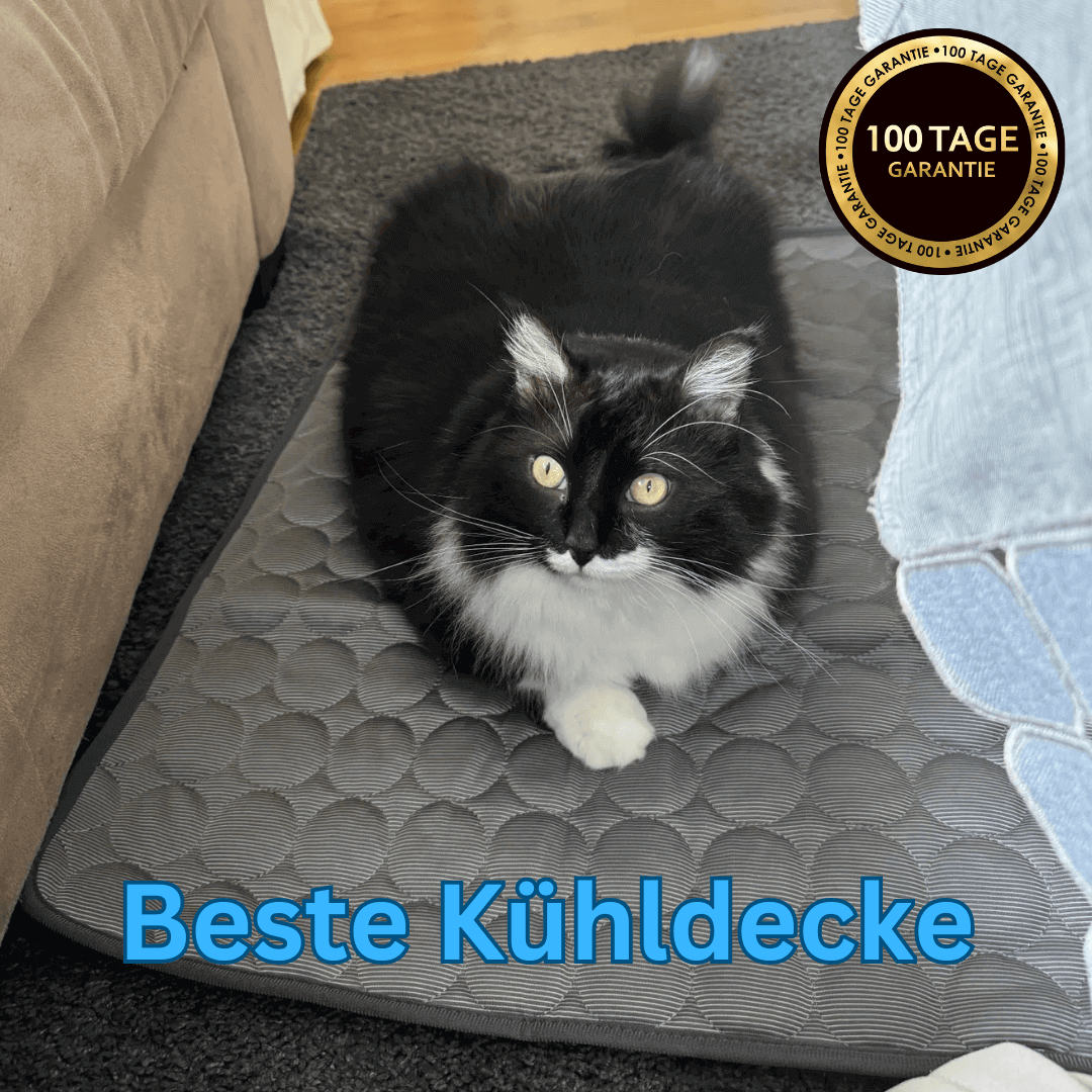 folaMis CoolComfort Matte - Erfrischende Kühlung für Deine Haustiere