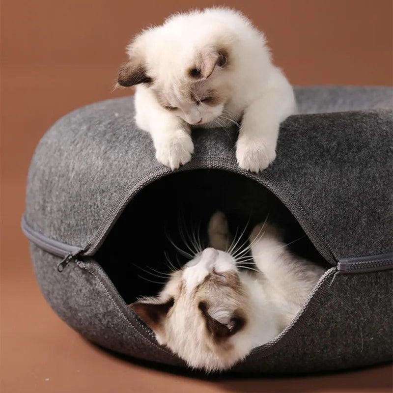 folaMis SchnurrLux - Das ultimative 2-in-1 Spiel- und Ruheparadies für Katzen