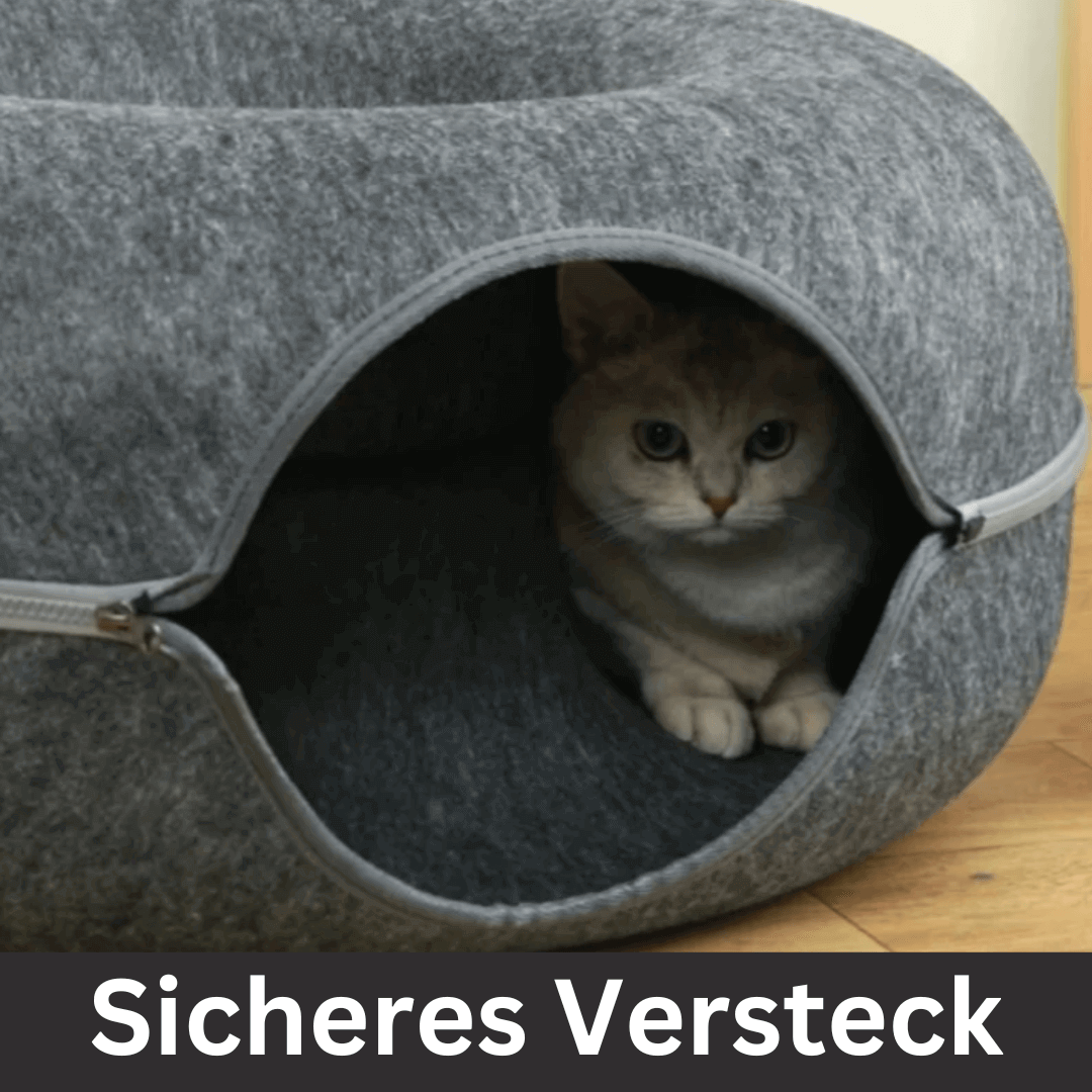 folaMis SchnurrLux - Das ultimative 2-in-1 Spiel- und Ruheparadies für Katzen