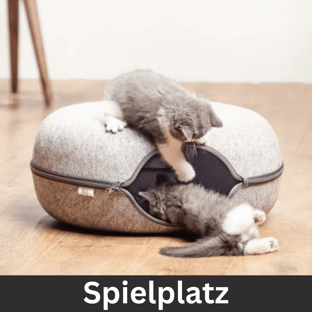 folaMis SchnurrLux - Das ultimative 2-in-1 Spiel- und Ruheparadies für Katzen