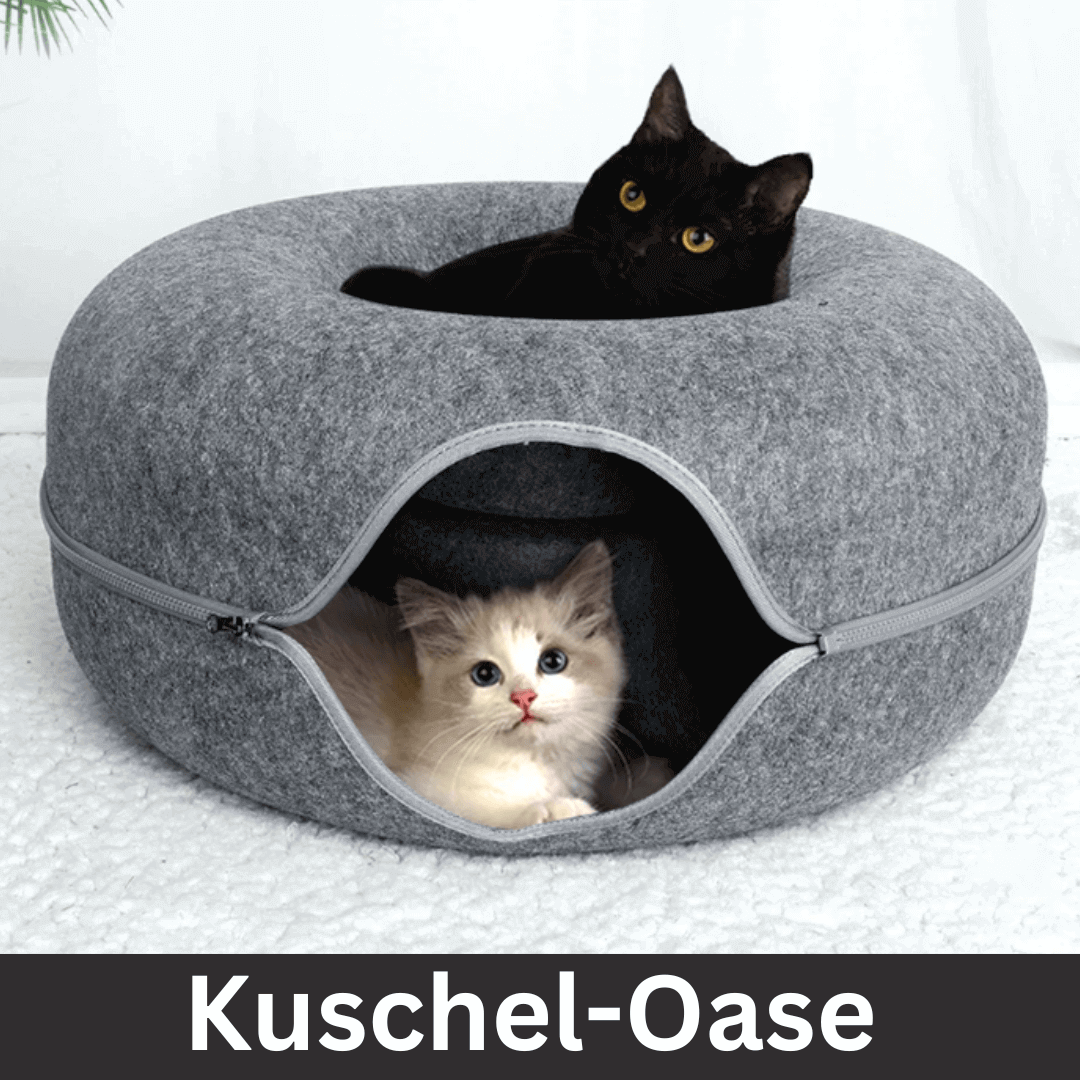folaMis SchnurrLux - Das ultimative 2-in-1 Spiel- und Ruheparadies für Katzen