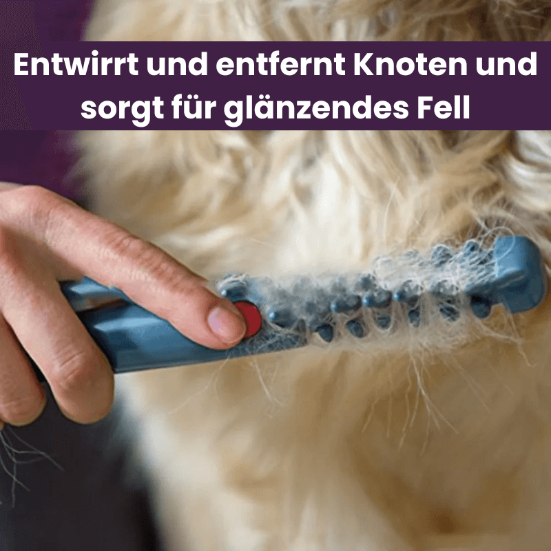 folaMis Fellzauber - Sanfteste Fellpflege