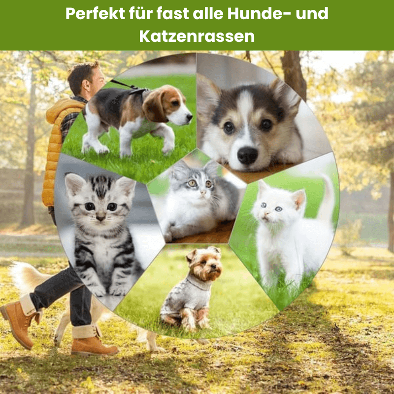 folaMis Fellzauber - Sanfteste Fellpflege