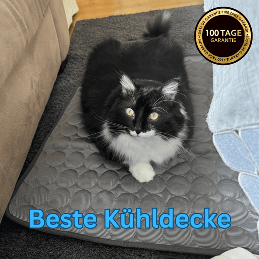 folaMis CoolComfort Matte - Erfrischende Kühlung für Deine Haustiere