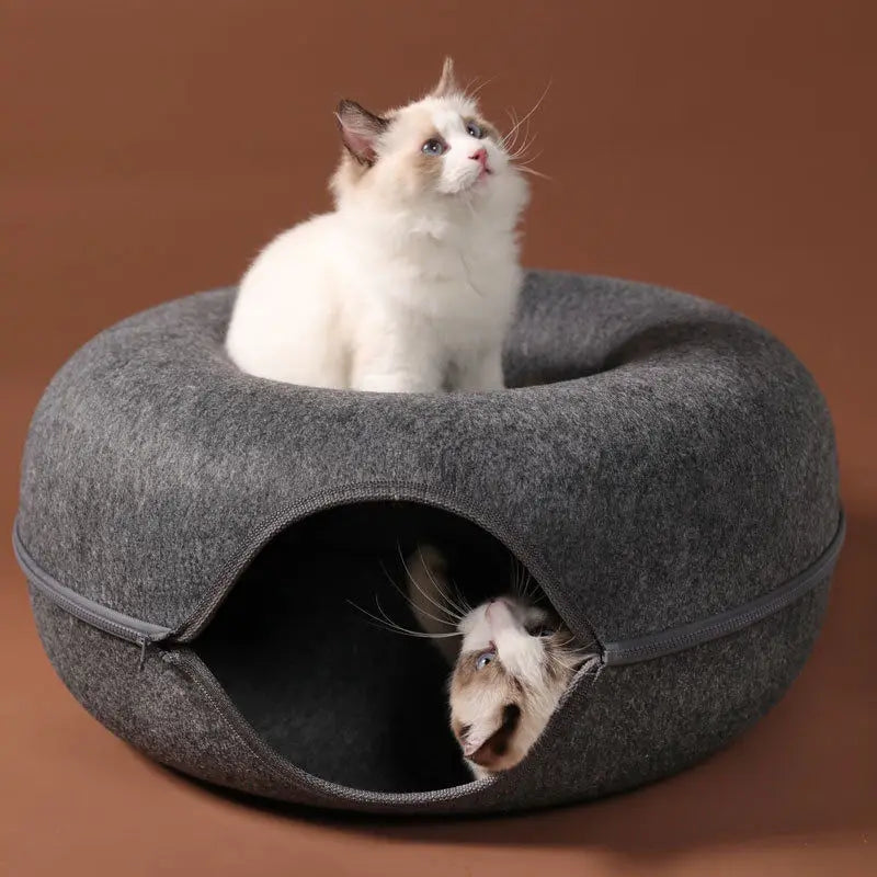 folaMis SchnurrLux - Das ultimative 2-in-1 Spiel- und Ruheparadies für Katzen